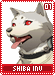shibainu01