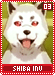 shibainu03