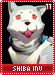 shibainu11