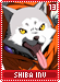 shibainu13